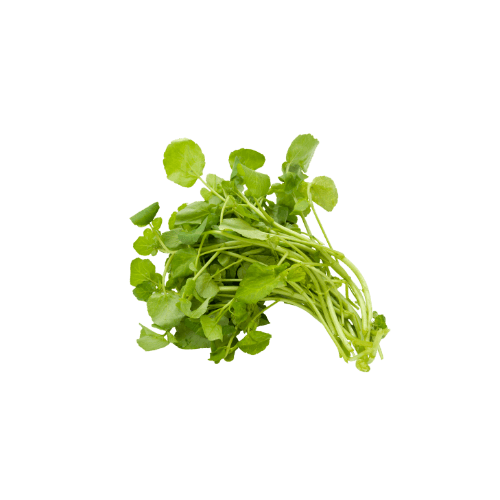 Watercress
