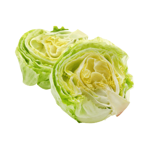 Iceberg Lettuce