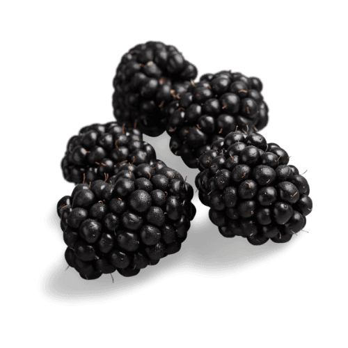 Blackberry
