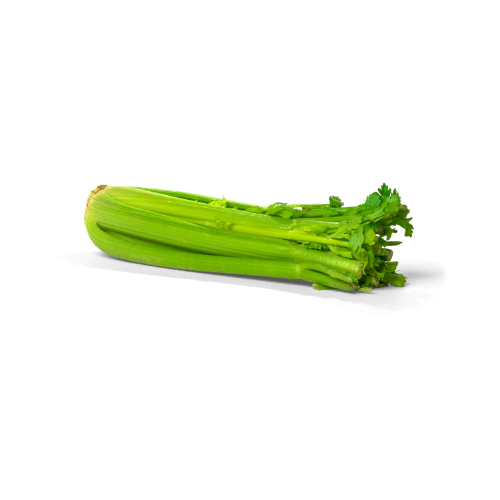 Celery