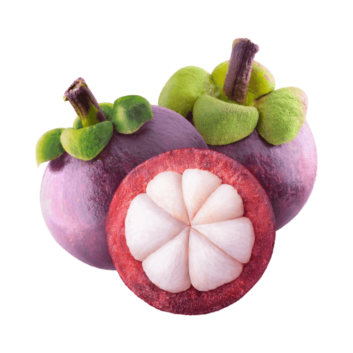 Mangosteen