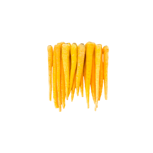 Yellow Dutch Carrot