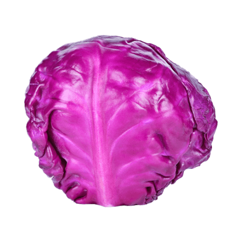 Red Cabbage