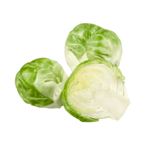 Brussel Sprout